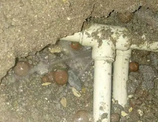 容城卫生间测漏