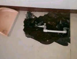 容城卫生间测漏水多少钱